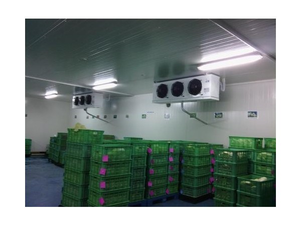 果蔬倉（冷）庫溫濕度監(jiān)測智能報警系統(tǒng)讓環(huán)境更穩(wěn)定！