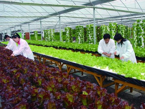 邁世努力促進(jìn)智慧農(nóng)業(yè)，實(shí)現(xiàn)新業(yè)態(tài)