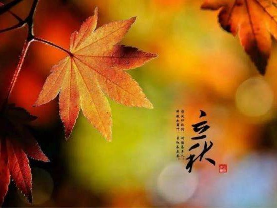 秋來了，莫慌！智慧主機(jī)依舊值得推薦的